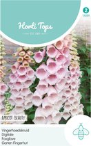 Hortitops Seeds - Foxglove - Abricot Beauty