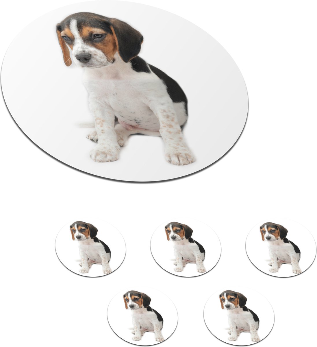 Onderzetters voor glazen - Rond - Puppy - Wit - Beagle - 10x10 cm - Glasonderzetters - 6 stuks