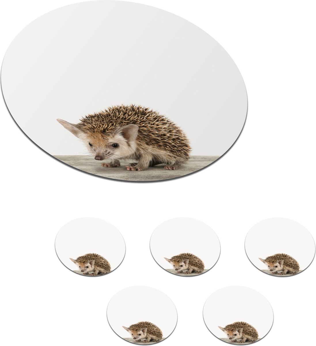 Onderzetters voor glazen - Rond - Dieren - Egel - Baby - 10x10 cm - Glasonderzetters - 6 stuks