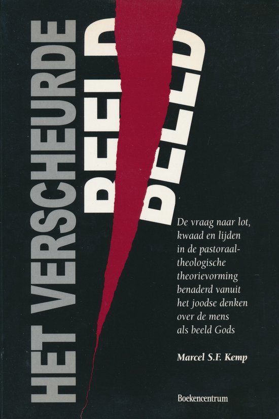 Cover van het boek 'Het verscheurde beeld'