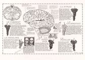 Poster - zwartwit - wijn - druivenrassen & hersenen