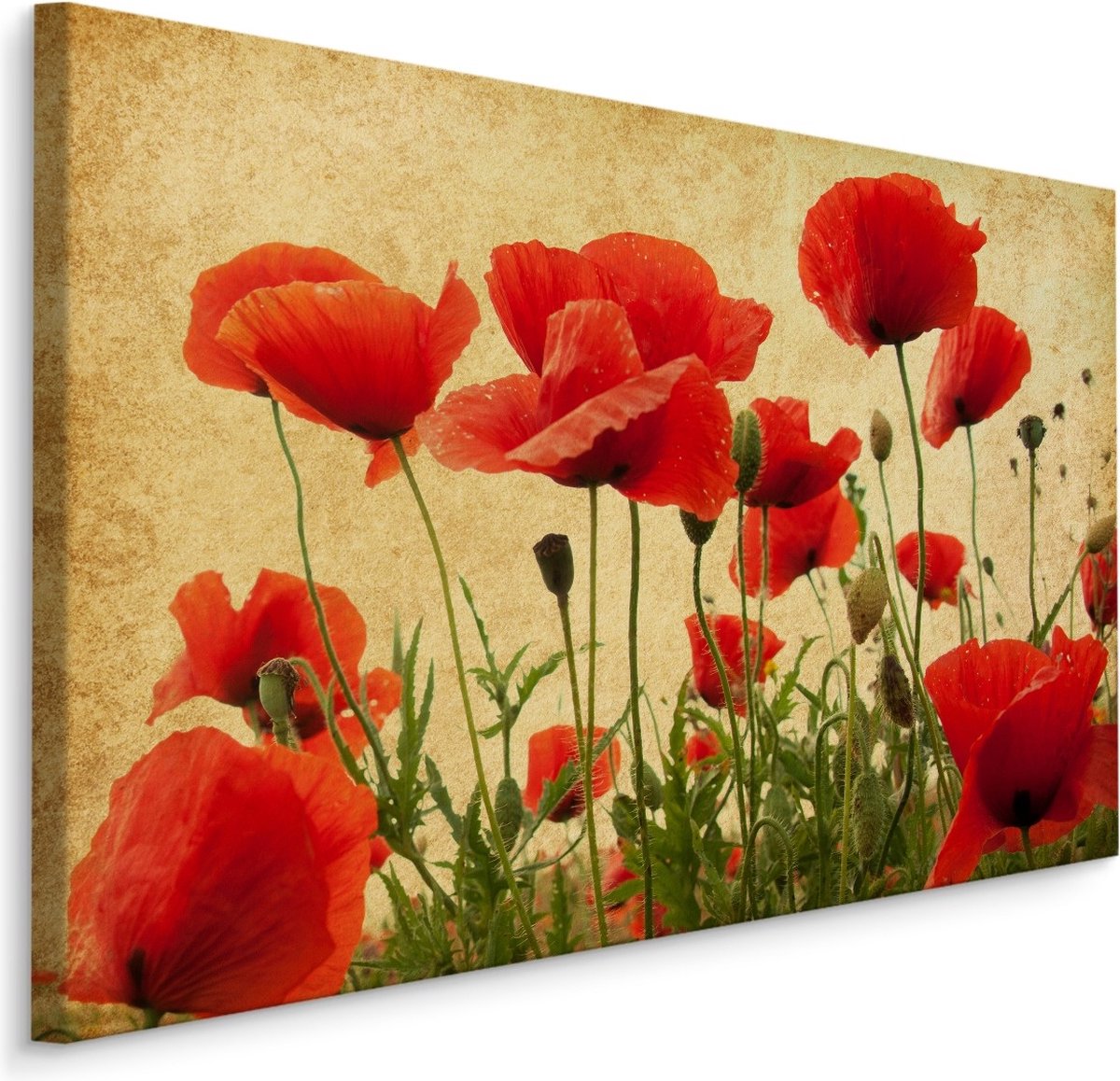 karo-art Schilderij - Vintage klaprozen veld, premium print Multikleur