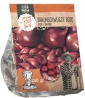 Baltus Onions Branschweiger Uien bloembollen per 250 gram