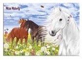Bureaulegger Miss Melody Top Model paarden - 3D effect