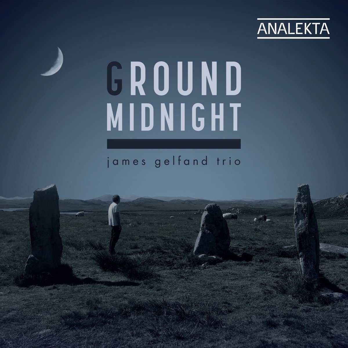 James Gelfand Trio - Ground Midnight (CD)