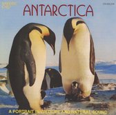 Natural Sound - Antarctica - A Portrait In Wildlife (CD)