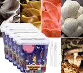 ToshiFarm Mega Spore Pack - 9 soorten broed voor paddenstoelen - Lion's Mane - Enoki - Reishi - Beukenzwam - King Oyster