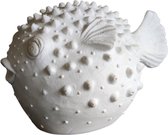 Blowfish - Kogelvis - Wit - Decoratie - Ornament - Beeld - Bolle vis