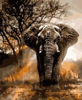 JDBOS ® Schilderen op nummer Volwassenen - Dark Elephant - Olifant - Verven volwassenen - 40x50 cm