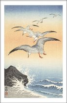 Walljar - Ohara Koson - Seagulls - Dieren poster