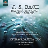 Francesco Molmenti & Luigi Accardo - J.S. Bach: Six Trio Sonatas, Bwv 525-530 (CD)