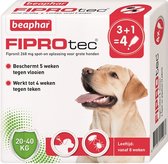 Beaphar Fiprotec Dog 3+1 pip - Anti vlooien en tekenmiddel - 20-40kg Vanaf 12 Maanden