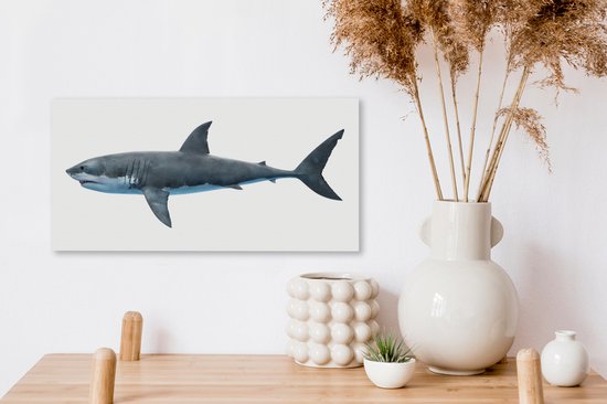 Toile Peinture Requin - Illustration - Wit - 40x20 cm - Décoration murale