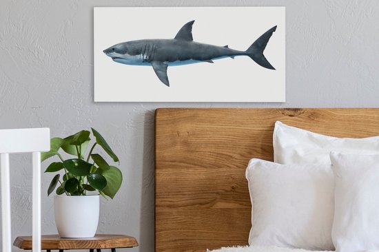 Toile Peinture Requin - Illustration - Wit - 40x20 cm - Décoration murale