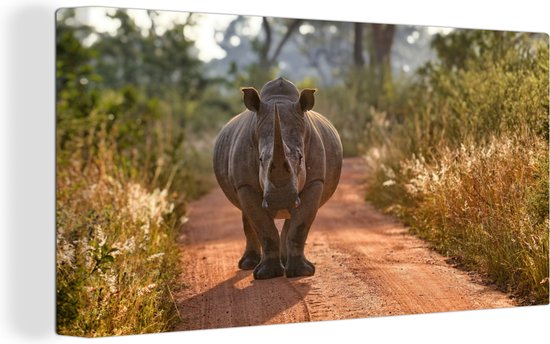 Canvas Schilderij Neushoorn loopt door het Krugerpark, Zuid-Afrika - 40x20 cm - Wanddecoratie