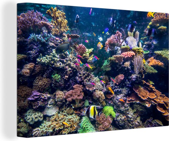 Canvas Schilderij Kleurrijke vissen zwemmen bij allemaal koraal - 90x60 cm - Wanddecoratie