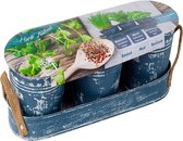 Plantenwinkel Baltus Urban growkit herbs Blue zaden giftbox