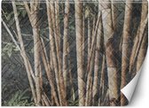 Trend24 - Behang - Bamboo Forest - Vliesbehang - Behang Woonkamer - Fotobehang - 350x245 cm - Incl. behanglijm