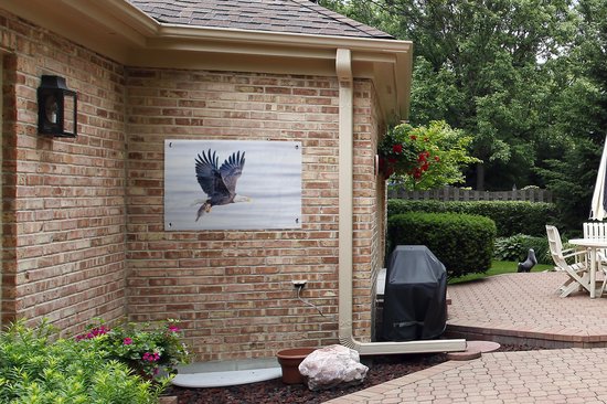 Posters de jardin extérieur Aigle avec poisson au-dessus de l'eau - 90x60 cm - Toile de jardin - Affiche extérieure