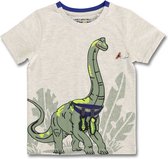 Lemon Beret t-shirt jongens - grijs - 149444 - maat 134