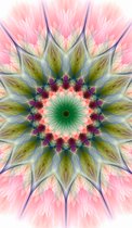 Nalany skincare - Mandala - Handgemaakt - Innerlijke schoonheid - Bloem - Edelstenen - Natuur - Meditatie - Afdruk van het originele werk 'Magische bloem' - Wanddecoratie - Inzicht - Muurdeco