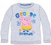 Grijze longsleeve - shirt van Peppa George maat 110