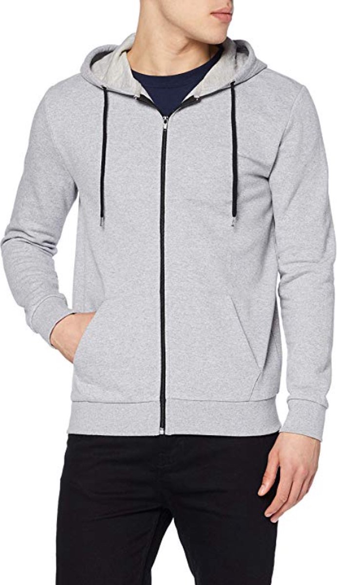 Pierre Calvini - Vest - Hoodie Met Rits Heren - Trui - Sweater Heren Met Capuchon - Grijs - S