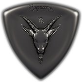 Verzilverde plectrum - Sterrenbeeld - Steenbok