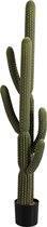 Cactus - Cactus+pot | kunststof | groen | 35.5x20.5x (h)172 cm