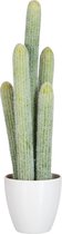 Cactus - Cactus | kunststof | wit - groen | 23x16x (h)52.5 cm