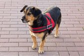 Sterk hondentuig L 70-90cm Senior Hond rood