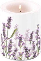Stompkaars Ambiente lavender/shaded white