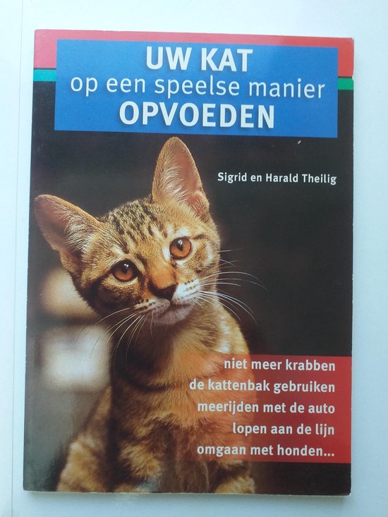 Foto: Uw kat op een speelse manier opvoeden