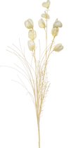 Kunstbloem Lampionplant bundel beige 65 cm