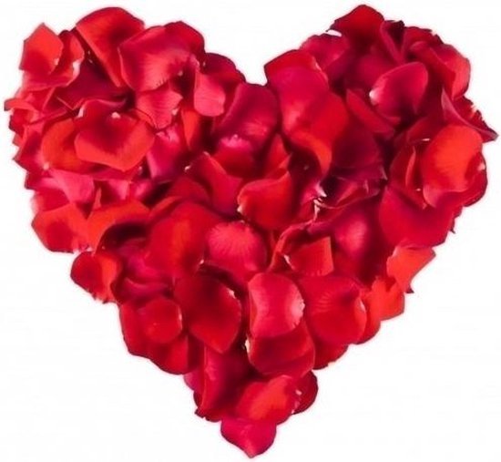 Cerebrum Verscheidenheid Schrikken Mooie rode rozenblaadjes ( Valentijn, feest, huwelijk, verjaardag etc.) |  bol.com