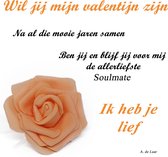 Valentijn tegel met spreuk | liefde | Valentijn | Spreuktegel |  Soulmate