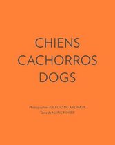 Chiens Cachorros Dogs