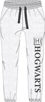 Grijze joggingbroek van Harry Potter maat 134