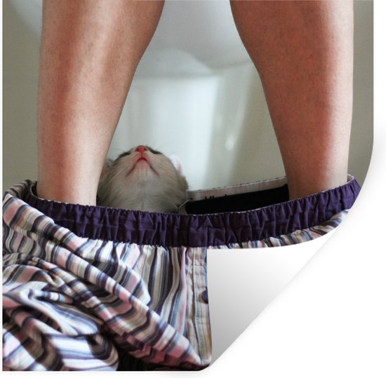 Stickers Stickers muraux - Chat - Pantalon - Toilettes - 30x30 cm - Feuille adhésive