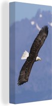 Canvas Schilderij Amerikaanse zee arend - Adelaar - Vliegende - Vleugels - Vogels - 40x80 cm - Wanddecoratie
