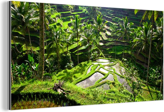 Wanddecoratie Metaal - Aluminium Schilderij - Spectaculaire rijstvelden ten noorden van Ubud