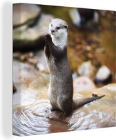 Canvas Schilderij Otter staat rechtop - 90x90 cm - Wanddecoratie