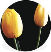 WallCircle - Wandcirkel ⌀ 90 - Een vector illustratie van twee gele tulpen - Ronde schilderijen woonkamer - Wandbord rond - Muurdecoratie cirkel - Kamer decoratie binnen - Wanddecoratie muurcirkel - Woonaccessoires