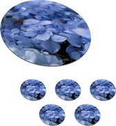 Onderzetters voor glazen - Rond - Blauwe hortensia's met waterdruppels - 10x10 cm - Glasonderzetters - 6 stuks