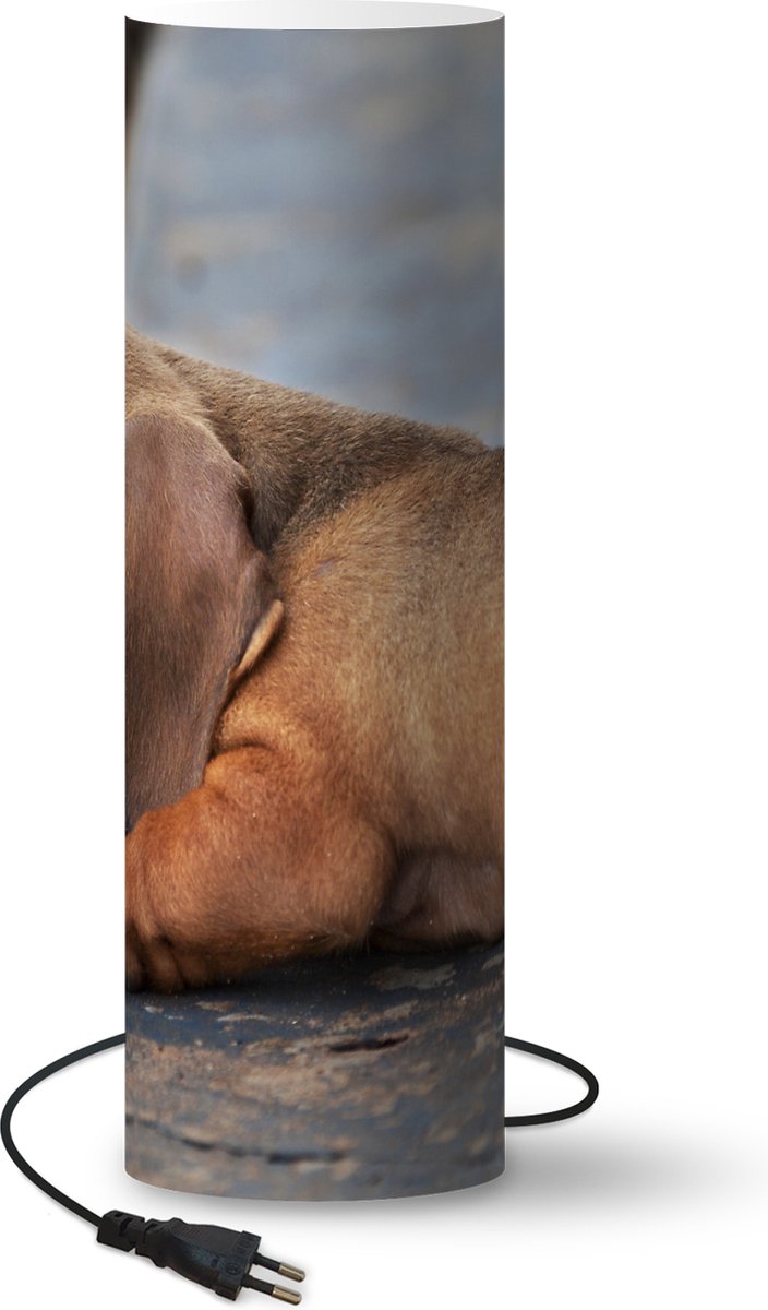 Lamp - Nachtlampje - Tafellamp slaapkamer - Teckel puppy ligt op de rand van de stoep - 60 cm hoog - Ø19.1 cm - Inclusief LED lamp