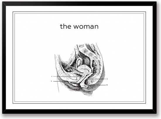 The woman zwart wit poster de vrouw | line art anatomie | wanddecoratie toilet | Liggend 70 x 50 cm