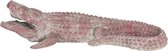 Decoratie Beeld Krokodil 46*21*12 cm Rood Kunststof Decoratief Figuur Decoratieve Accessoires Woonaccessoires