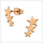 Aramat jewels ® - Stalen zweerknopjes oorbellen sterren 6mm x 13mm rosékleurig