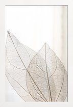 JUNIQE - Poster in houten lijst Skeleton Leaves -40x60 /Ivoor