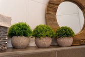 Kunstplanten voor binnen - Set van 3 stuks - Nep planten in pot - 15x12 cm - Decoratie